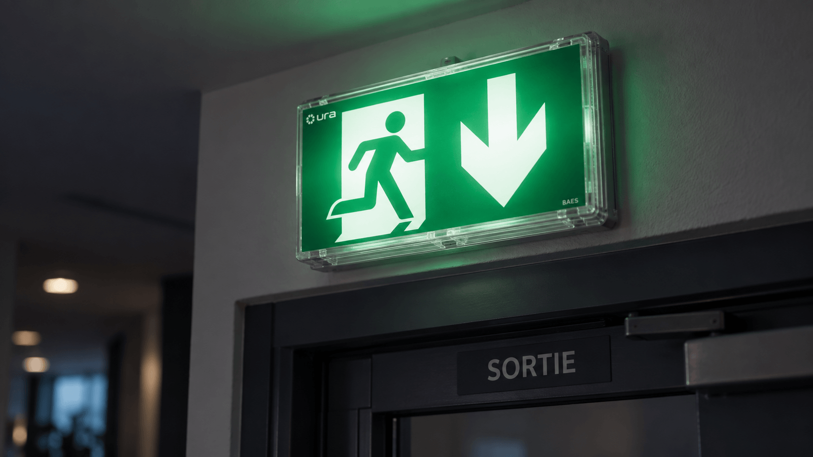 Gros plan sur un BAES vert (bloc autonome d'éclairage de sécurité) au-dessus d'une sortie de secours dans un ERP français